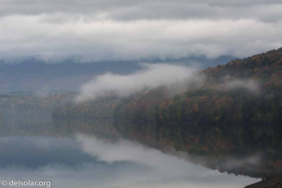 Canon EOS 5D Mark III  --  100 mm  --  EF100-400mm f/4.5-5.6L IS II USM  