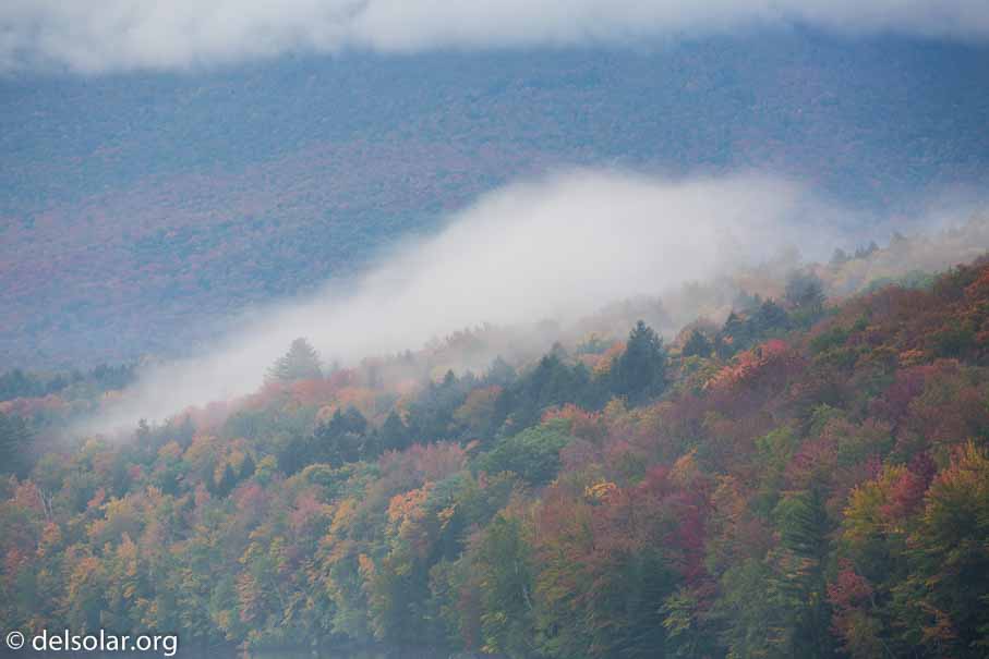 Canon EOS 5D Mark III  --  300 mm  --  EF100-400mm f/4.5-5.6L IS II USM  