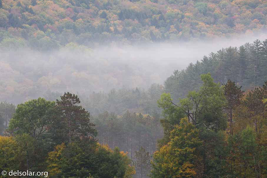 Canon EOS 5D Mark III  --  182 mm  --  EF100-400mm f/4.5-5.6L IS II USM  