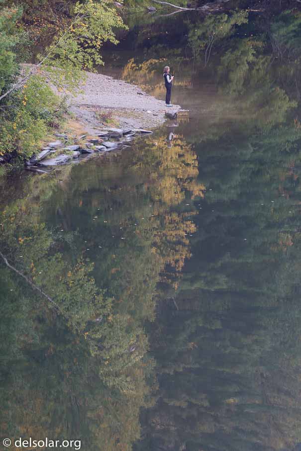 Canon EOS 5D Mark III  --  241 mm  --  EF100-400mm f/4.5-5.6L IS II USM  