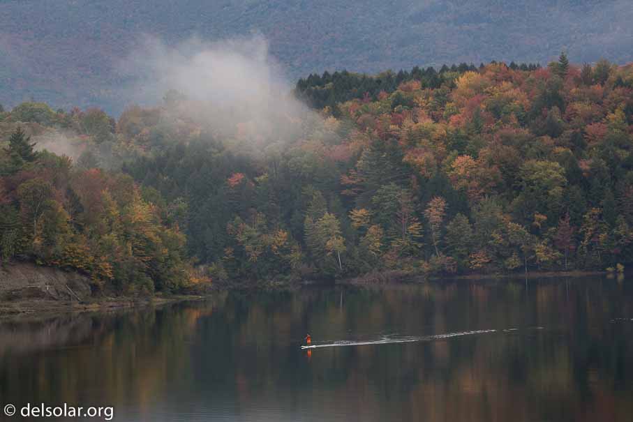 Canon EOS 5D Mark III  --  182 mm  --  EF100-400mm f/4.5-5.6L IS II USM  