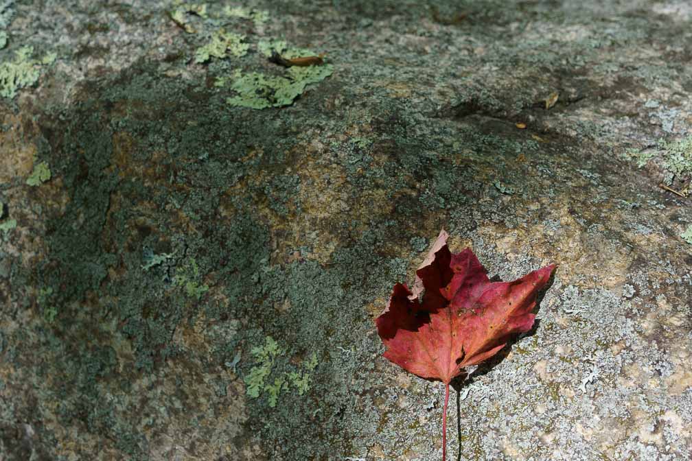 ILCE-7M3  --  FE 28mm F2 -- 1/100 sec at f / 7.1 -- ISO 200 -- 0 EV -- 