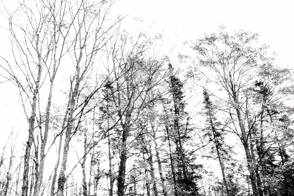 ILCE-7M3  --  E 17-28mm F2.8-2.8 -- 1/40 sec at f / 10 -- ISO 200 -- 0 EV -- 