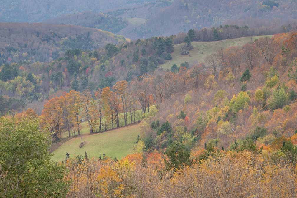 ILCE-7M3  --  DT 100-400mm F4.5-5.6 SAM -- 1/125 sec at f / 5.0 -- ISO 125 -- 0 EV -- 