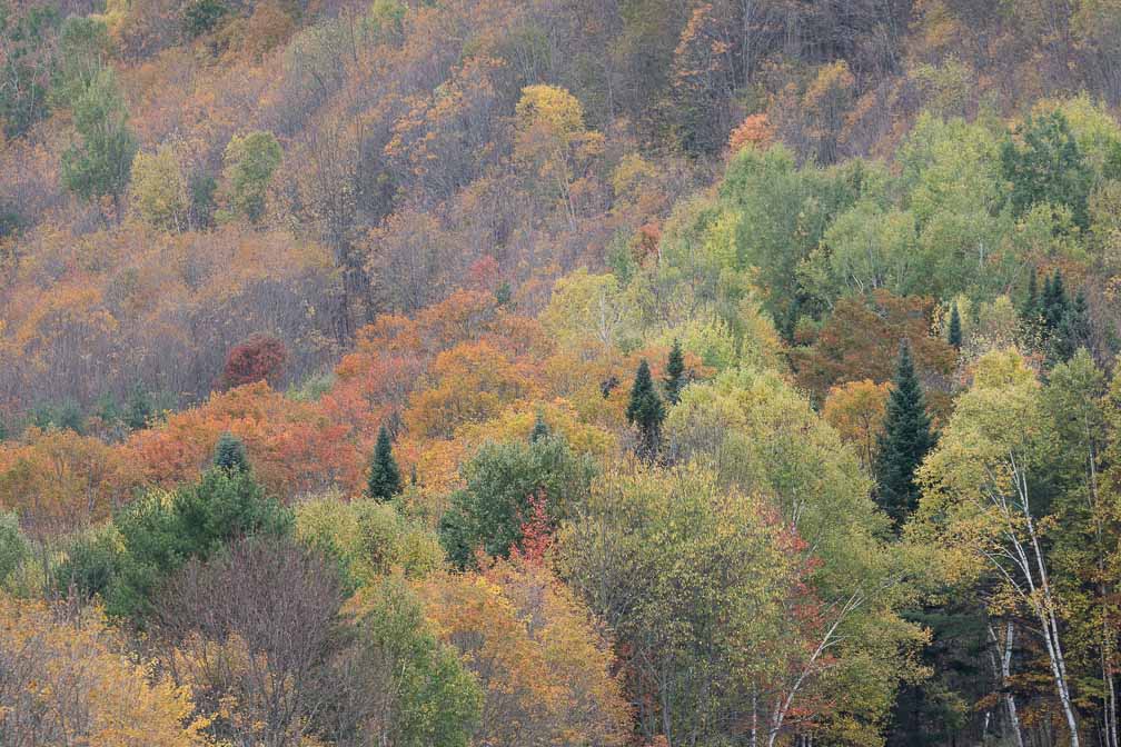 ILCE-7M3  --  DT 100-400mm F4.5-5.6 SAM -- 1/125 sec at f / 5.0 -- ISO 100 -- 0 EV -- 