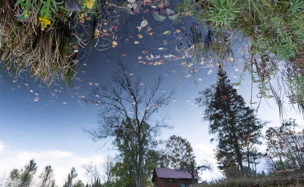 ILCE-7M3  --  E 17-28mm F2.8-2.8 -- 1/200 sec at f / 3.5 -- ISO 400 -- 0 EV -- 