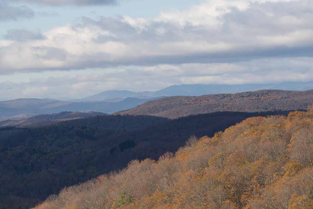 ILCE-7M3  --  DT 100-400mm F4.5-5.6 SAM -- 1/1250 sec at f / 8.0 -- ISO 500 -- 0 EV -- 