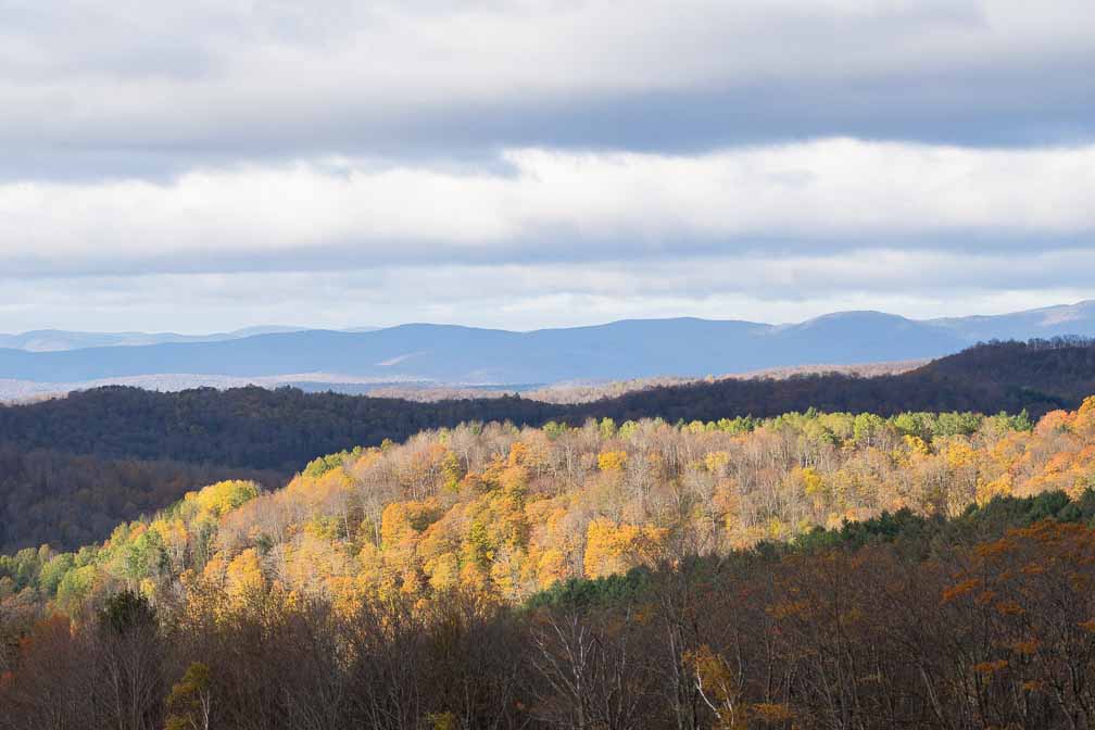 ILCE-7M3  --  DT 100-400mm F4.5-5.6 SAM -- 1/640 sec at f / 8.0 -- ISO 500 -- 0 EV -- 