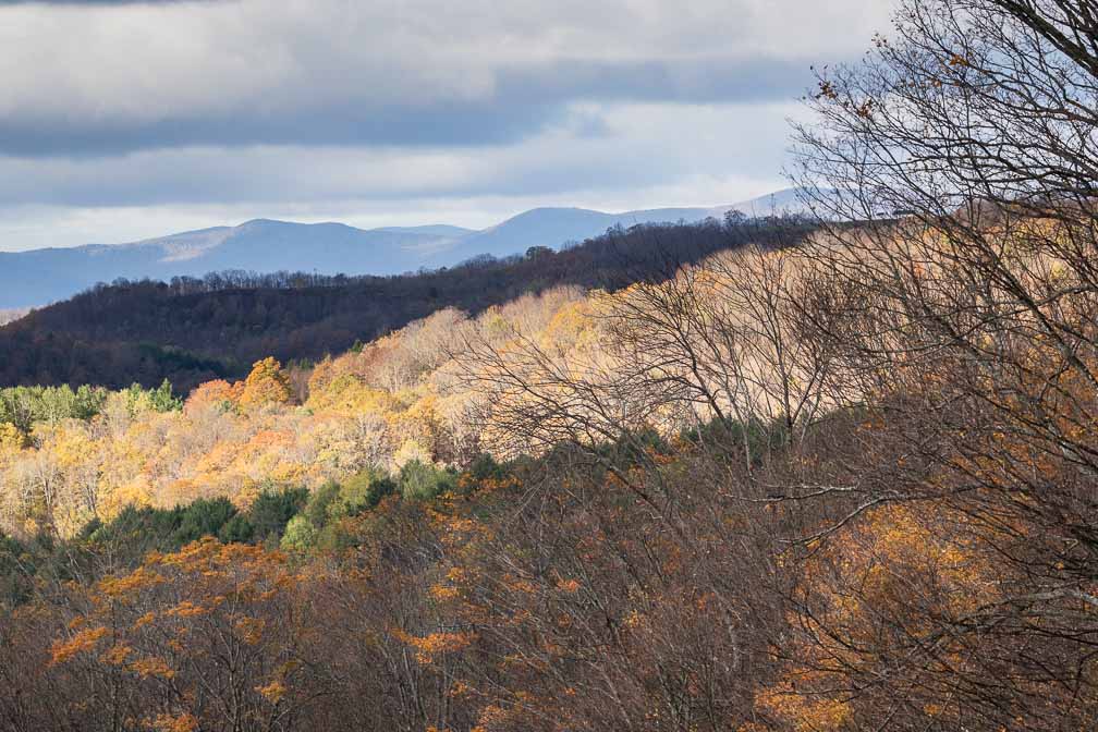 ILCE-7M3  --  DT 100-400mm F4.5-5.6 SAM -- 1/400 sec at f / 8.0 -- ISO 500 -- 0 EV -- 