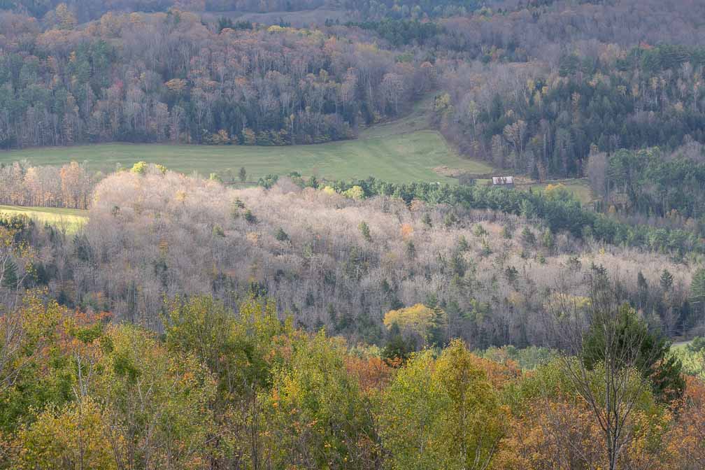 ILCE-7M3  --  DT 100-400mm F4.5-5.6 SAM -- 1/250 sec at f / 8.0 -- ISO 500 -- 0 EV -- 