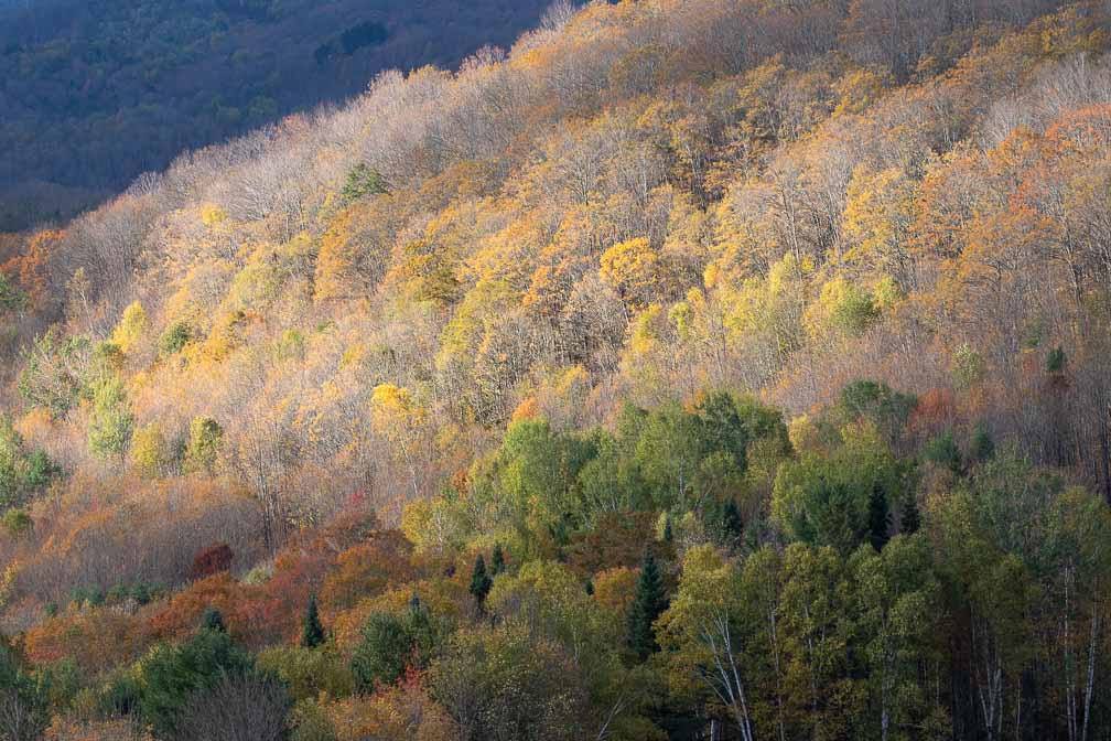 ILCE-7M3  --  DT 100-400mm F4.5-5.6 SAM -- 1/640 sec at f / 8.0 -- ISO 500 -- 0 EV -- 