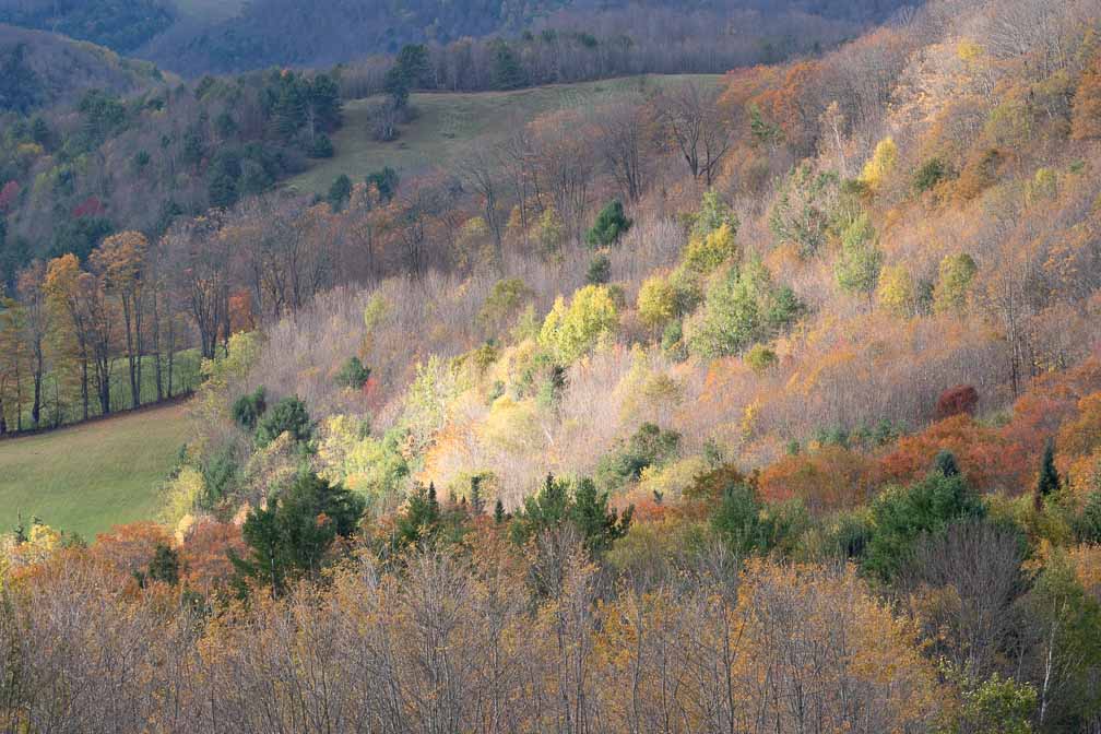 ILCE-7M3  --  DT 100-400mm F4.5-5.6 SAM -- 1/250 sec at f / 8.0 -- ISO 500 -- 0 EV -- 