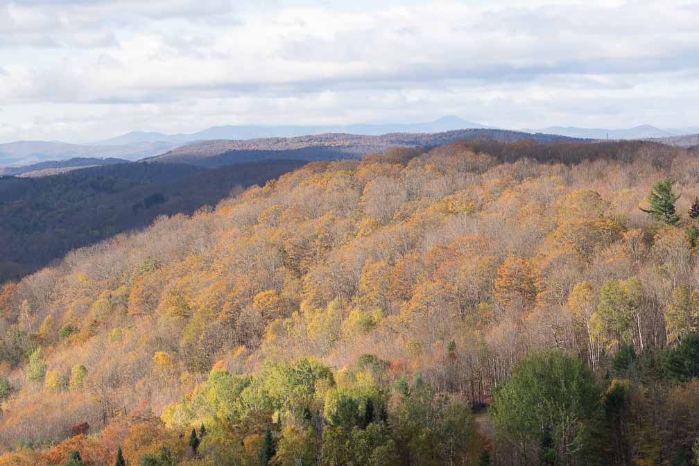 ILCE-7M3  --  DT 100-400mm F4.5-5.6 SAM -- 1/640 sec at f / 8.0 -- ISO 500 -- 0 EV -- 