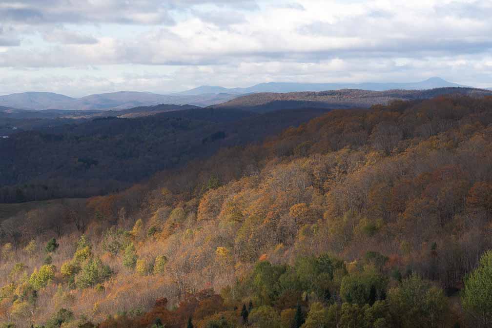 ILCE-7M3  --  DT 100-400mm F4.5-5.6 SAM -- 1/1250 sec at f / 8.0 -- ISO 500 -- 0 EV -- 