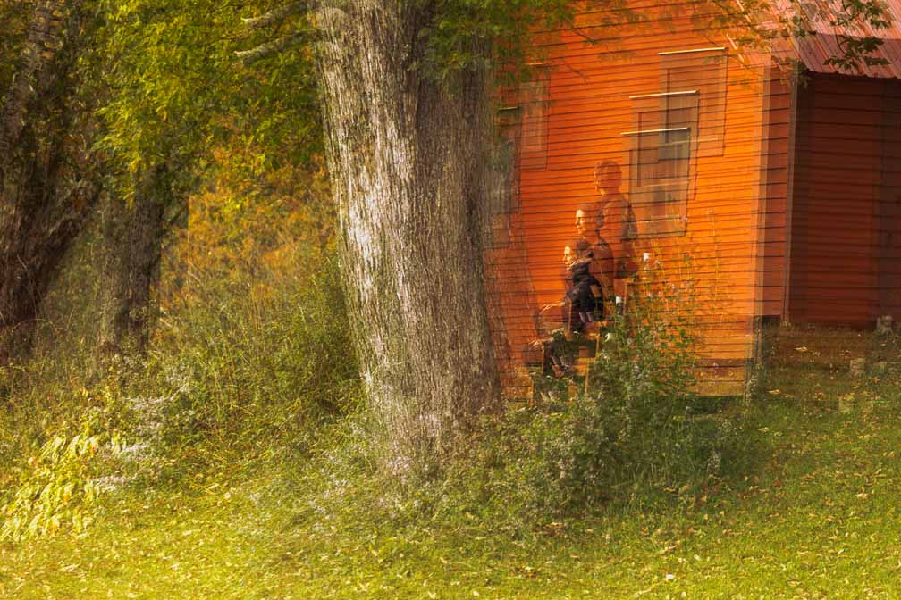 Canon EOS R6  --  EF100-400mm f/4.5-5.6L IS II USM -- 1/320 sec at f / 7.1 -- ISO 640 -- 0 EV -- 