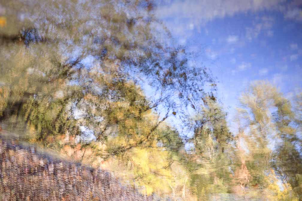 Canon EOS R6  --  RF50mm F1.8 STM -- 1/1000 sec at f / 2.2 -- ISO 320 -- 0 EV -- 