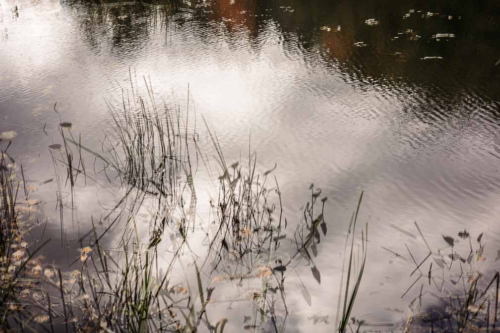 Canon EOS R6  --  RF50mm F1.8 STM -- 1/640 sec at f / 6.3 -- ISO 125 -- 0 EV -- 