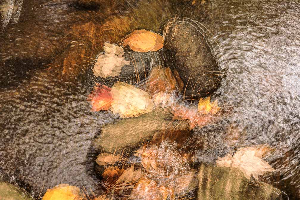 Canon EOS R6  --  RF50mm F1.8 STM -- 1/125 sec at f / 6.3 -- ISO 250 -- 0 EV -- 