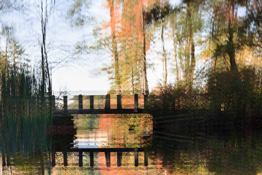 Canon EOS R6  --  EF100-400mm f/4.5-5.6L IS II USM -- 1/250 sec at f / 9.0 -- ISO 400 -- 0 EV -- 