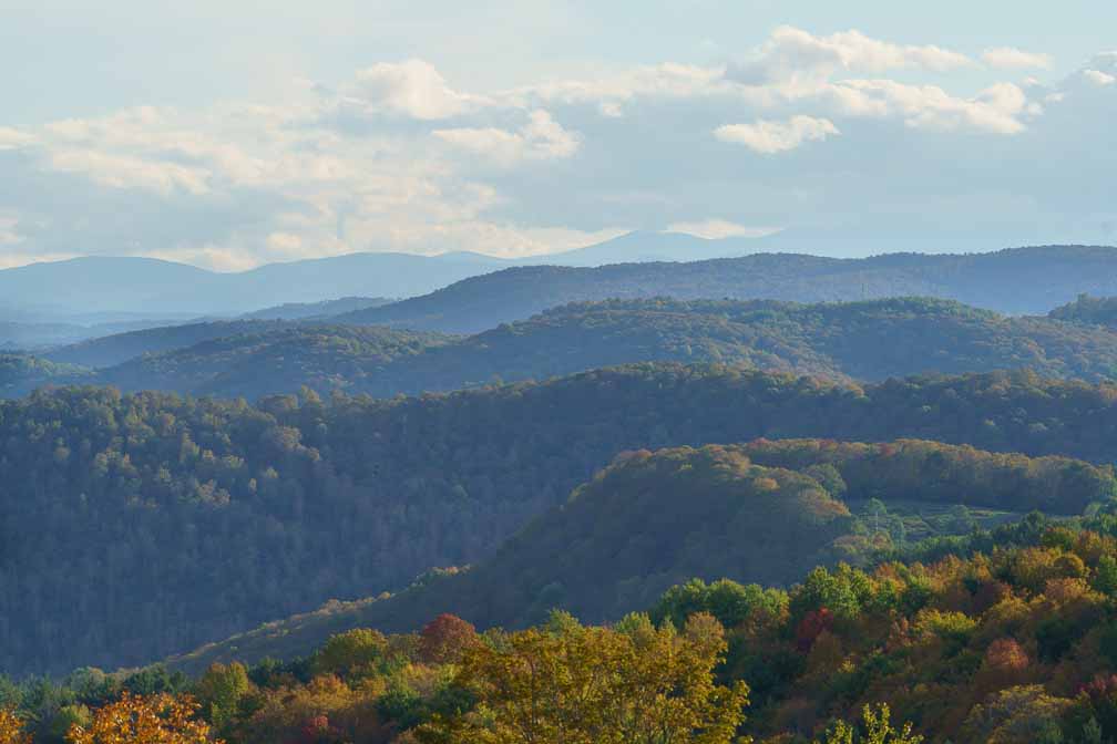 ILCE-7RM4  --  FE 200-600mm F5.6-6.3 G OSS -- 1/400 sec at f / 7.1 -- ISO 100 -- 0 EV -- 