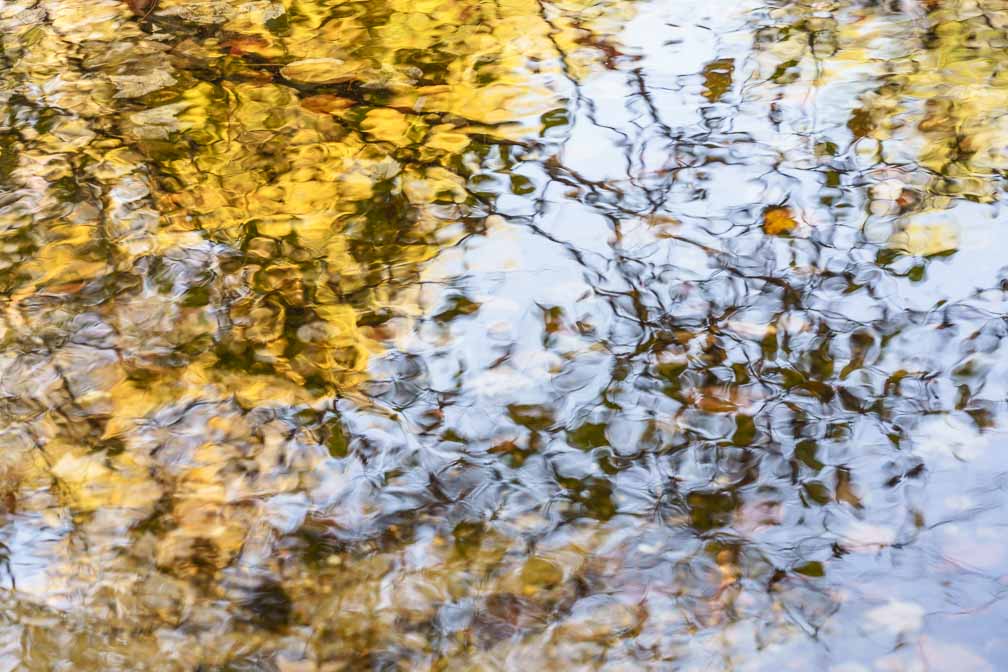 ILCE-7RM4  --  E 28-200mm F2.8-5.6 A071 -- 1/20 sec at f / 7.1 -- ISO 200 -- 0 EV -- 