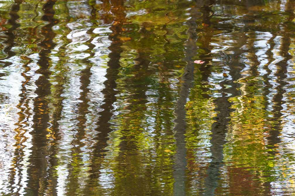 ILCE-7RM4  --  E 28-200mm F2.8-5.6 A071 -- 1/125 sec at f / 7.1 -- ISO 640 -- 0 EV -- 