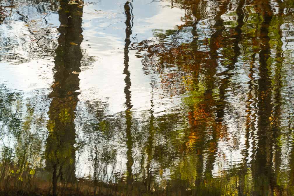 ILCE-7RM4  --  E 28-200mm F2.8-5.6 A071 -- 1/320 sec at f / 7.1 -- ISO 640 -- 0 EV -- 