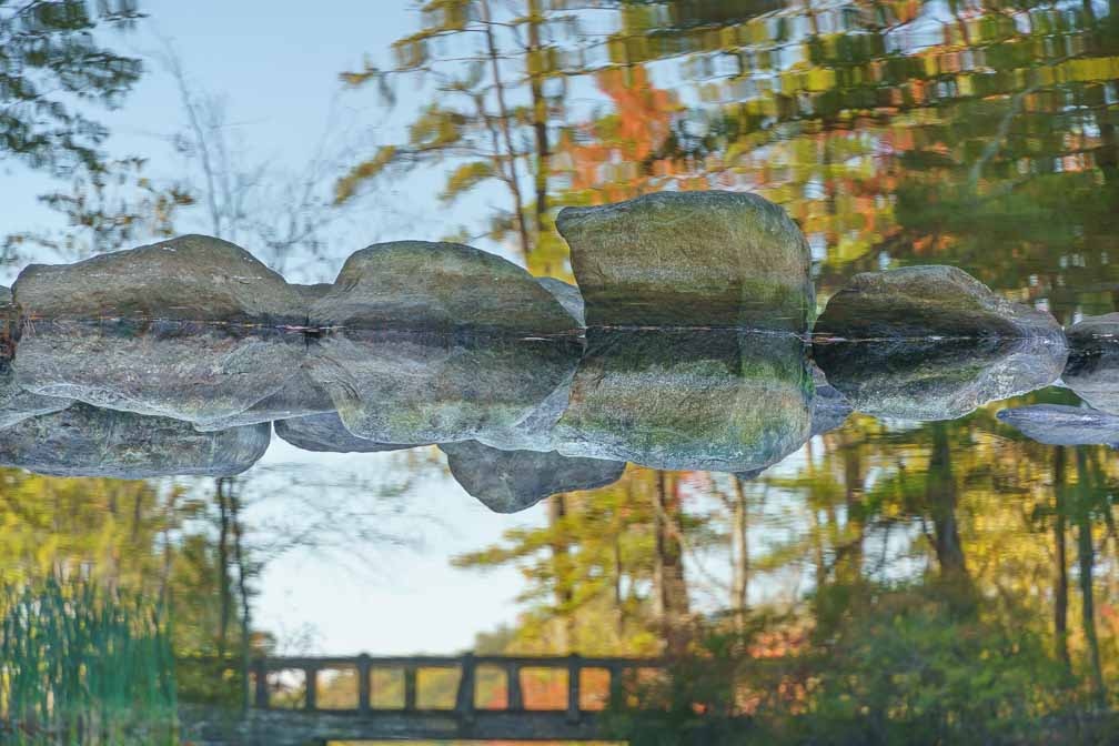 ILCE-7RM4  --  E 28-200mm F2.8-5.6 A071 -- 1/200 sec at f / 7.1 -- ISO 200 -- 0 EV -- 