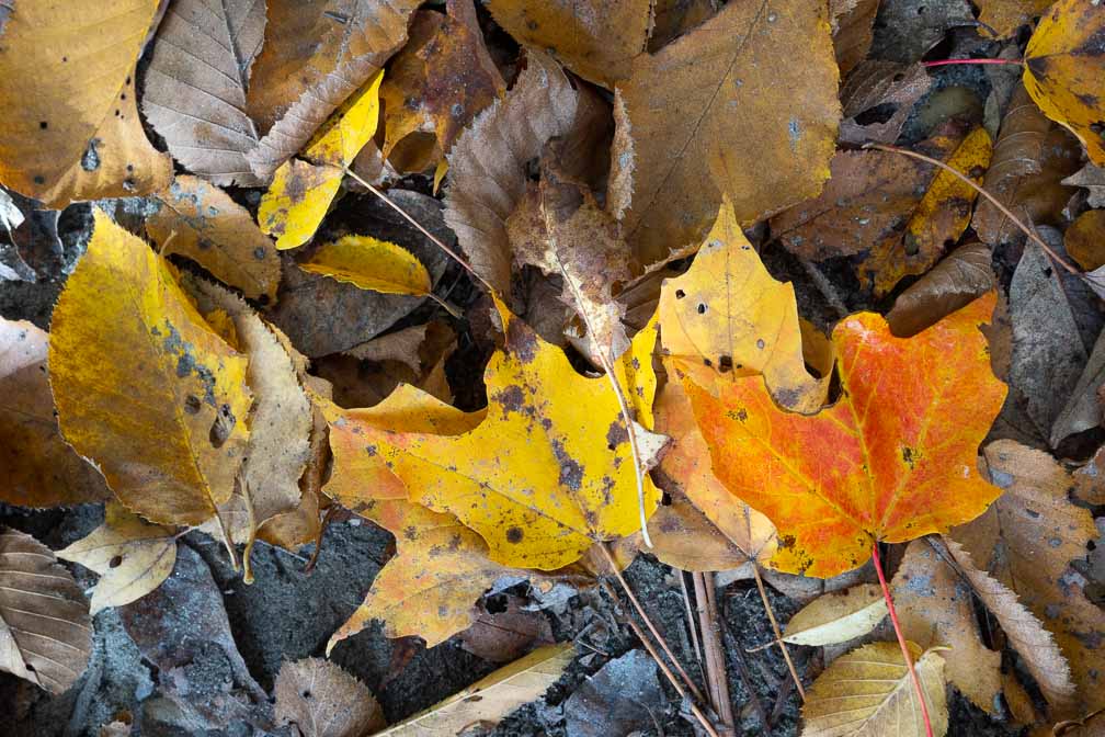 ILCE-7M3  --  E 17-28mm F2.8-2.8 -- 1/100 sec at f / 7.1 -- ISO 640 -- 0 EV -- 