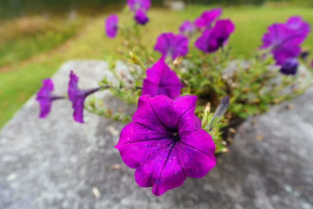 ILCE-7RM4  --  E 17-28mm F2.8-2.8 -- 1/125 sec at f / 6.3 -- ISO 320 -- 0 EV -- 