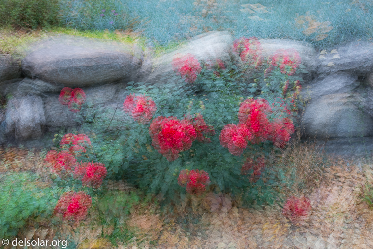 Canon EOS 5D Mark III  --  40 mm  --  EF40mm f/2.8 STM  