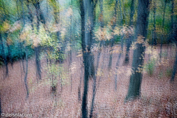 Canon EOS 5D Mark III  --  40 mm  --  EF40mm f/2.8 STM  