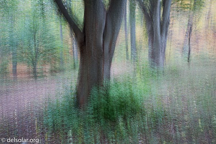 Canon EOS 5D Mark III  --  40 mm  --  EF40mm f/2.8 STM  