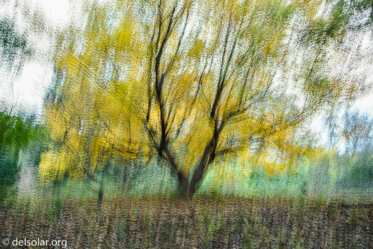 Canon EOS 5D Mark III  --  40 mm  --  EF40mm f/2.8 STM  