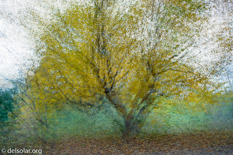 Canon EOS 5D Mark III  --  40 mm  --  EF40mm f/2.8 STM  