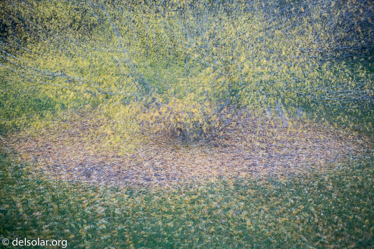 Canon EOS 5D Mark III  --  40 mm  --  EF40mm f/2.8 STM  