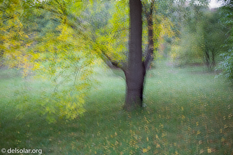 Canon EOS 5D Mark III  --  40 mm  --  EF40mm f/2.8 STM  