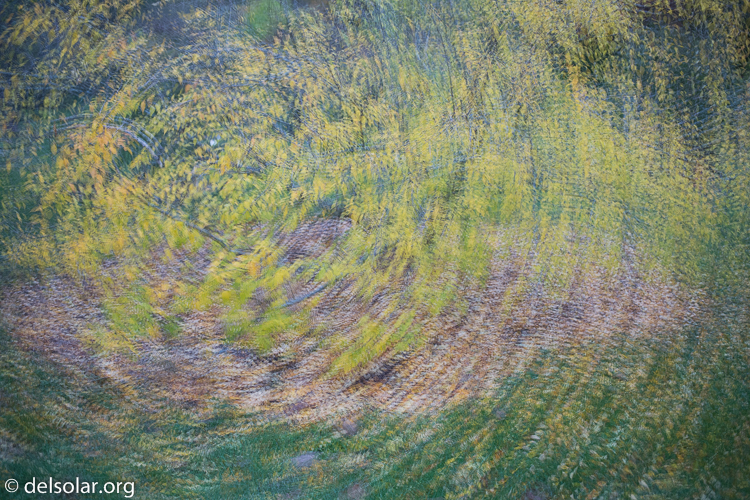 Canon EOS 5D Mark III  --  40 mm  --  EF40mm f/2.8 STM  