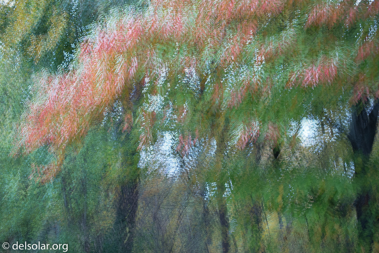 Canon EOS 5D Mark III  --  40 mm  --  EF40mm f/2.8 STM  