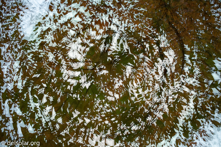 Canon EOS 5D Mark III  --  40 mm  --  EF40mm f/2.8 STM  