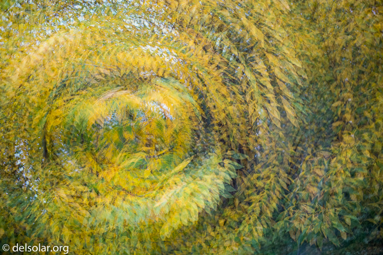 Canon EOS 5D Mark III  --  40 mm  --  EF40mm f/2.8 STM  