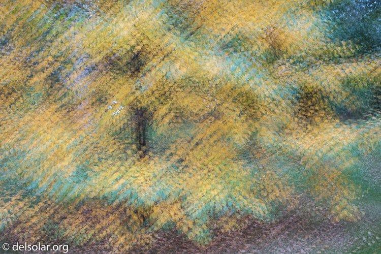 Canon EOS 5D Mark III  --  40 mm  --  EF40mm f/2.8 STM  