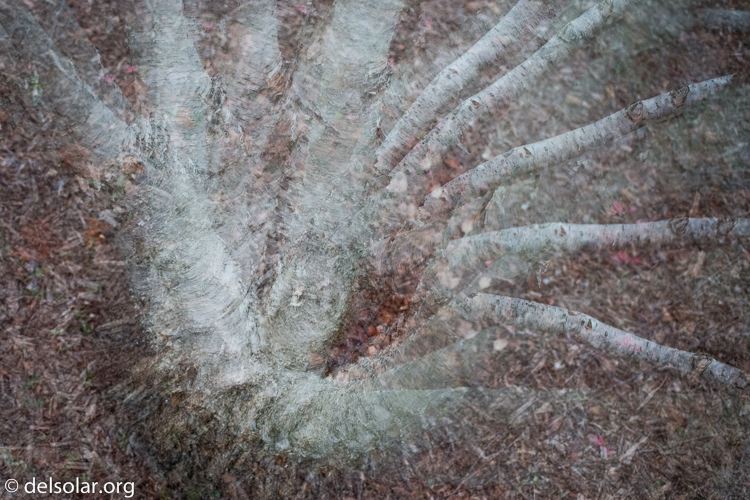 Canon EOS 5D Mark III  --  40 mm  --  EF40mm f/2.8 STM  