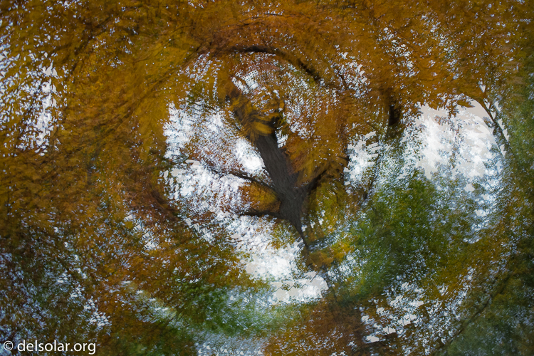 Canon EOS 5D Mark III  --  40 mm  --  EF40mm f/2.8 STM  