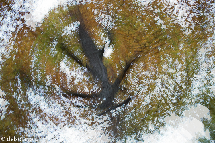 Canon EOS 5D Mark III  --  40 mm  --  EF40mm f/2.8 STM  