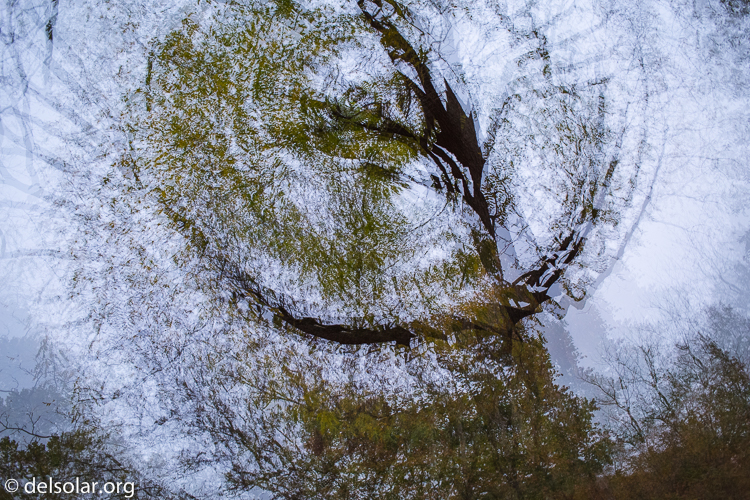 Canon EOS 5D Mark III  --  40 mm  --  EF40mm f/2.8 STM  