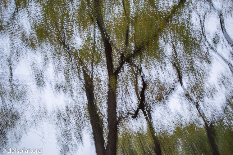 Canon EOS 5D Mark III  --  40 mm  --  EF40mm f/2.8 STM  
