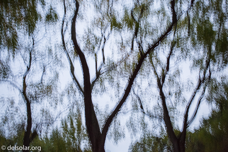 Canon EOS 5D Mark III  --  40 mm  --  EF40mm f/2.8 STM  