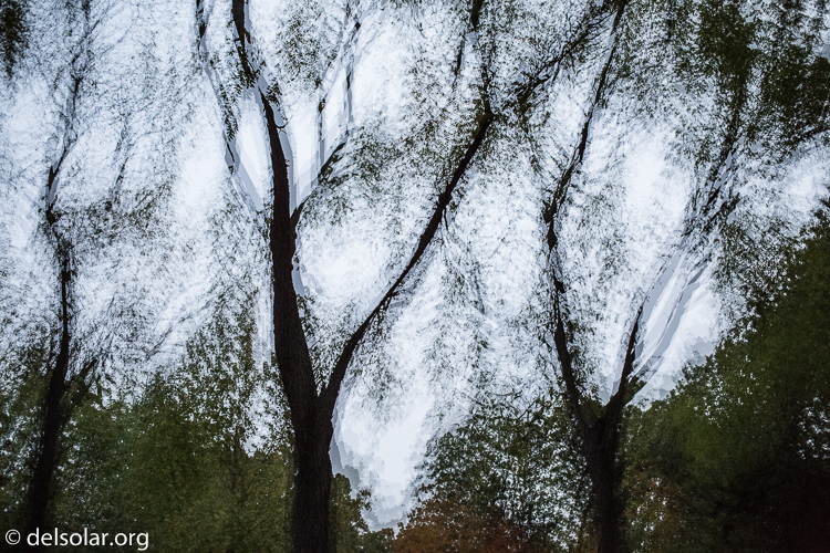 Canon EOS 5D Mark III  --  40 mm  --  EF40mm f/2.8 STM  