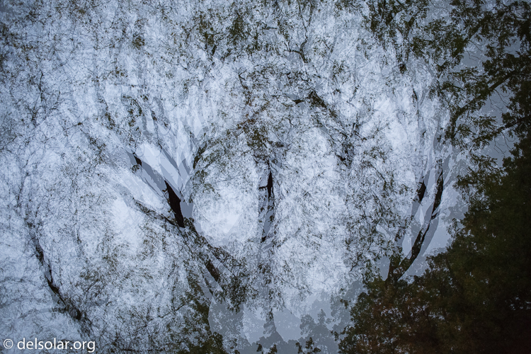 Canon EOS 5D Mark III  --  40 mm  --  EF40mm f/2.8 STM  